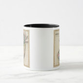 New Jersey Mok (Midden)