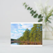 New JErsey Pine Barrens in Winter Briefkaart (Staand voorkant)