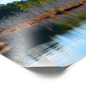 New Jersey Pinelands Foto Afdruk (Hoek)