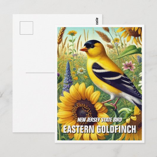 New Jersey State Bird Oosterse goudvink Briefkaart (Voorkant / Achterkant)