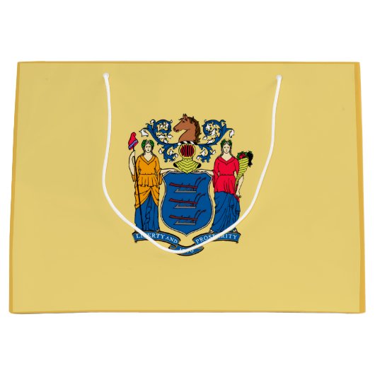 New Jersey State Flag Design Large Cadeautasje (Voorkant)