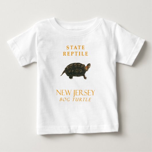 New Jersey Territory reptiel de grote schildpad (Voorkant)