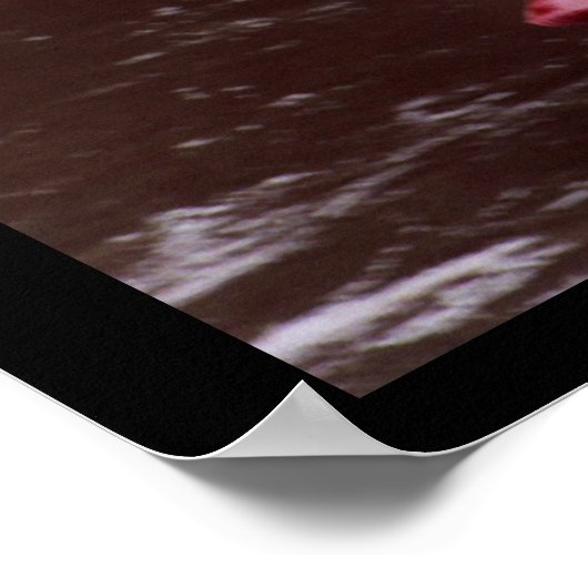 New Kayaker Poster (Hoek)