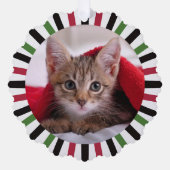 New Kitty in the House Christmas Ornament Kaart (Voorkant)