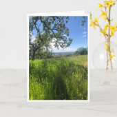 New Life - 1 Kaart (Gele Bloem)