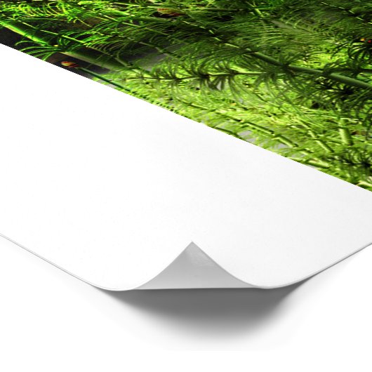 New Mexico Allosaurus Poster (Hoek)