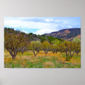 New Mexico Apple Orchard in Bloom Poster (Voorkant)
