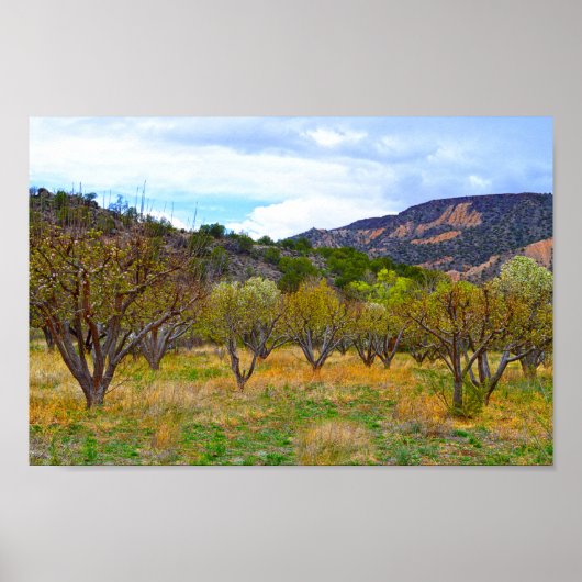 New Mexico Apple Orchard in Bloom Poster (Voorkant)