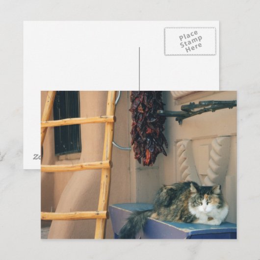 New Mexico Cat Briefkaart (Voorkant / Achterkant)