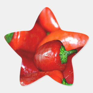 New Mexico Chili Peppers (Chili) Ster Sticker