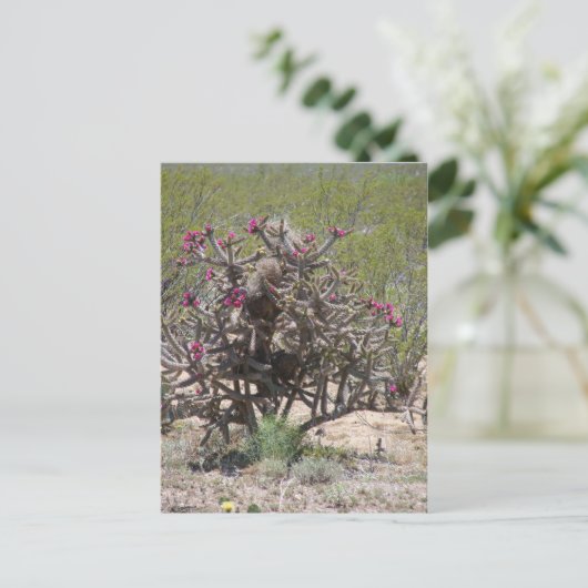 New Mexico Cholla in Bloei Briefkaart (Staand voorkant)