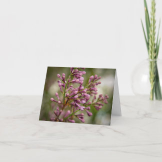 New Mexico Garden Bedankkaart