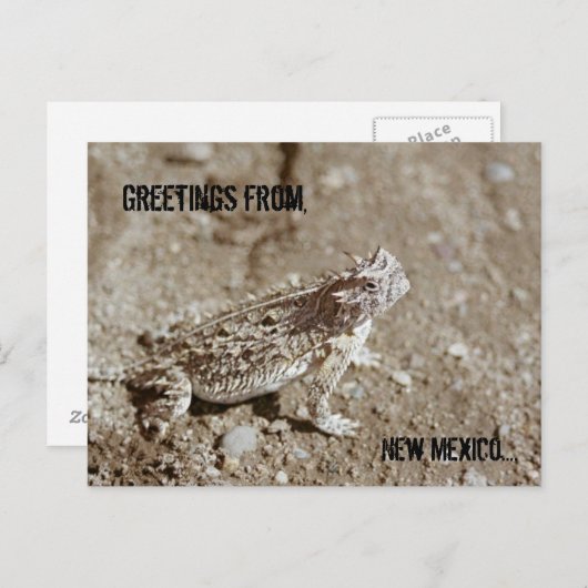 New Mexico Horned Toad Briefkaart (Voorkant / Achterkant)