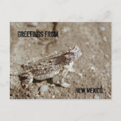 New Mexico Horned Toad Briefkaart (Voorkant)