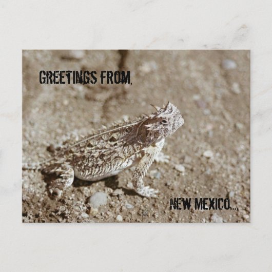 New Mexico Horned Toad Briefkaart (Voorkant)