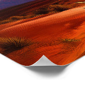 New Mexico Land van betovering Yucca Desert Poster (Hoek)