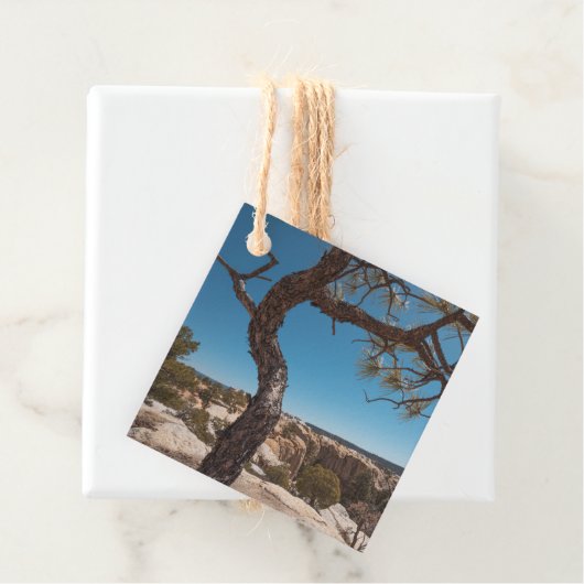 New Mexico Landscape Photo Bedankjes Labels (In situ)