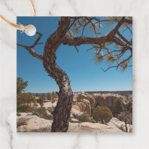 New Mexico Landscape Photo Bedankjes Labels