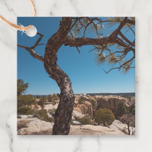 New Mexico Landscape Photo Bedankjes Labels (Voorkant)