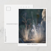 New Mexico Landscape Photo Briefkaart (Voorkant / Achterkant)