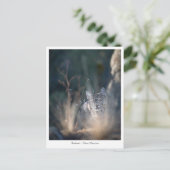 New Mexico Landscape Photo Briefkaart (Staand voorkant)