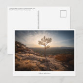 New Mexico Landscape Photo Briefkaart (Voorkant / Achterkant)