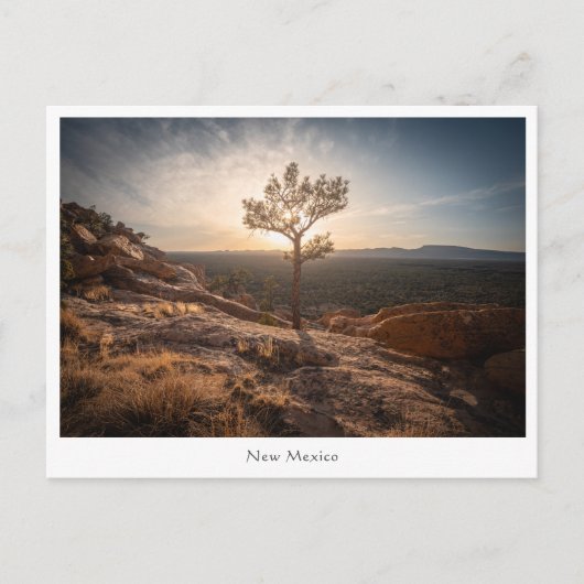 New Mexico Landscape Photo Briefkaart (Voorkant)