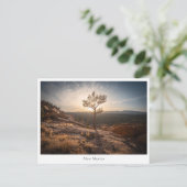 New Mexico Landscape Photo Briefkaart (Staand voorkant)