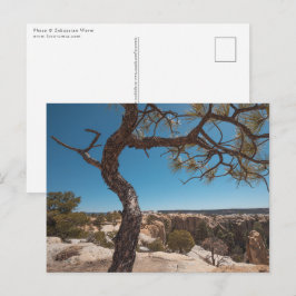 New Mexico Landscape Photo Briefkaart