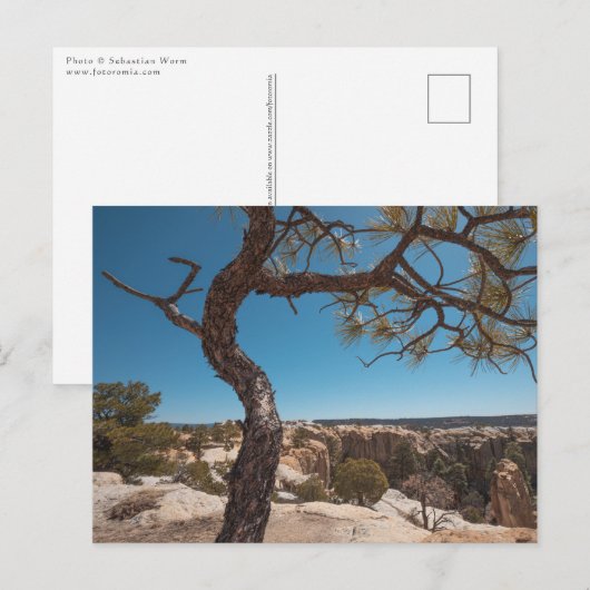 New Mexico Landscape Photo Briefkaart (Voorkant / Achterkant)