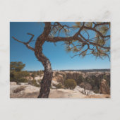 New Mexico Landscape Photo Briefkaart (Voorkant)