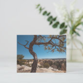 New Mexico Landscape Photo Briefkaart (Staand voorkant)