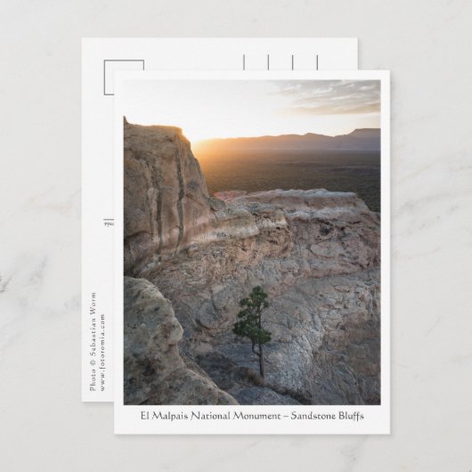 New Mexico Landscape Photo Briefkaart (Voorkant / Achterkant)