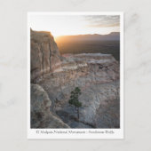 New Mexico Landscape Photo Briefkaart (Voorkant)