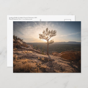 New Mexico Landscape Photo Briefkaart