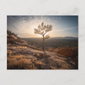 New Mexico Landscape Photo Briefkaart (Voorkant)