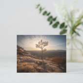 New Mexico Landscape Photo Briefkaart (Staand voorkant)