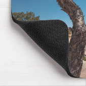 New Mexico Landscape Photo Muismat (Hoek)