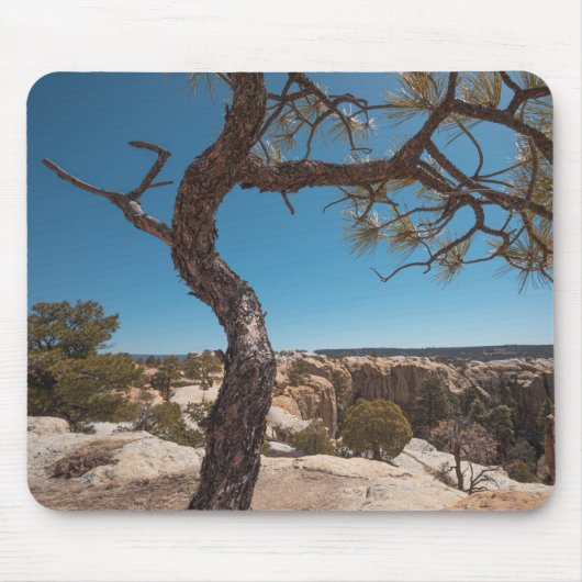 New Mexico Landscape Photo Muismat (Voorkant)