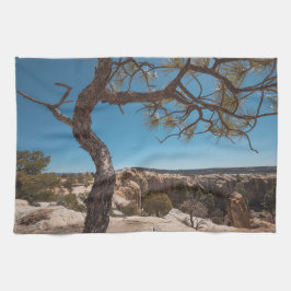 New Mexico Landscape Photo Theedoek