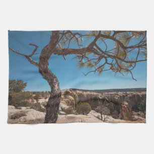 New Mexico Landscape Photo Theedoek