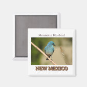 New Mexico Mountain Blue vogelfoto Magneet (Voorkant / Achterkant)
