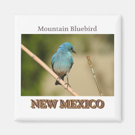 New Mexico Mountain Blue vogelfoto Magneet