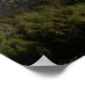 New Mexico Mountain Landschap Kleur 16x20 Poster (Hoek)