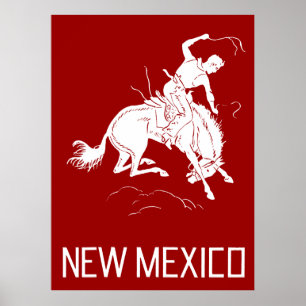  New Mexico Poster