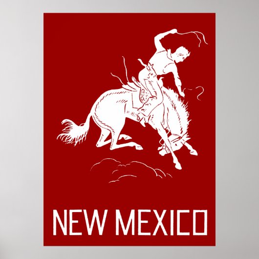  New Mexico Poster (Voorkant)