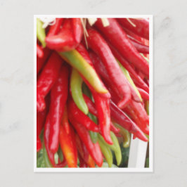 New Mexico Red Chili Briefkaart