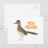 New Mexico Roadrunner Briefkaart (Voorkant / Achterkant)