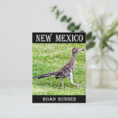 New Mexico Roadrunner Briefkaart (Staand voorkant)