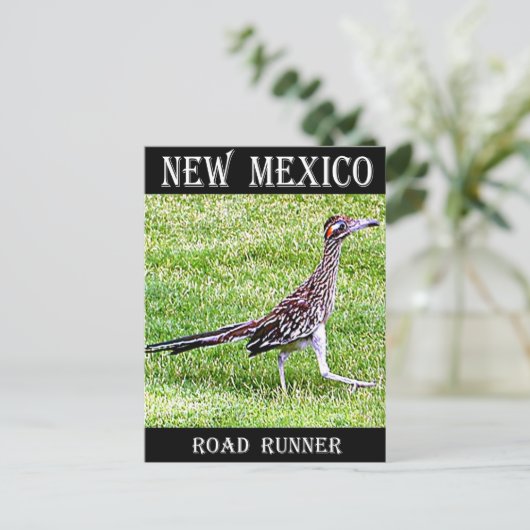 New Mexico Roadrunner Briefkaart (Staand voorkant)